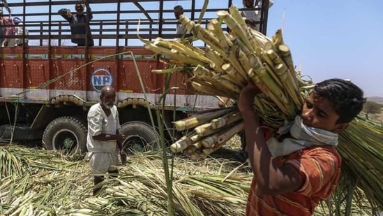 Farm subsidies worth thousands of crores — including cheap insurance, fertilisers, credit and income transfers — still suffer from leakages because very little information about individual farmers is centrally available.(Bloomberg file photo)