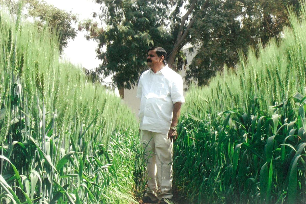 Telangana farmer Chintala Venkat Reddy. (HT Photo) Telangana farmer Chintala Venkat Reddy. (HT Photo)