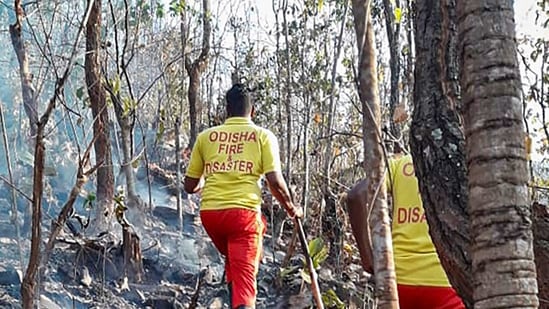 EDS: TWITTER IMAGE POSTED BY @cfo_odisha ON THURSDAY, MARCH 4, 2021Bhubaneswar: Fire Service personnel inspect the the charred forest area of Similipal National Park days after a fire broke out, in Odisha.(PTI Photo)(PTI03_04_2021_000082B)(PTI) EDS: TWITTER IMAGE POSTED BY @cfo_odisha ON THURSDAY, MARCH 4, 2021Bhubaneswar: Fire Service personnel inspect the the charred forest area of Similipal National Park days after a fire broke out, in Odisha.(PTI Photo)(PTI03_04_2021_000082B)(PTI)