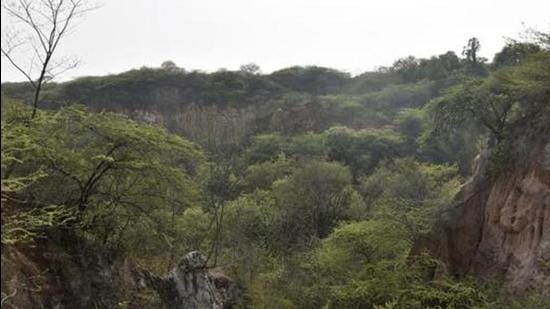 The purpose of reserving the BDP is to save the hill slope and hilltop in order to maintain greenery in the city. (Sanchit Khanna/HT PHOTO)