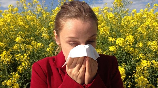 The team collected data on airborne pollen concentrations, weather conditions and SARS-CoV-2 infections, taking into consideration the variation of infection rates from one day to another, and the total number of positive tests.(Pixabay)