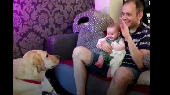 The image shows a dad making a dog do tricks that has the baby of the house laughing uncontrollably.