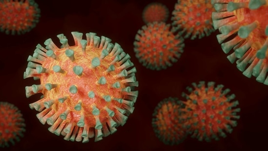 Vaccines are required to control Covid-19 during the current pandemic and possibly afterward. (Pixabay) Vaccines are required to control Covid-19 during the current pandemic and possibly afterward. (Pixabay)
