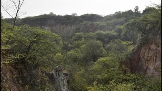 All Aravalli range states — Gujarat, Rajasthan, Haryana and Delhi — are responsible for its destruction (Sanchit Khanna/HT PHOTO)