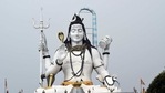 Maha Shivratri is predominantly a Hindu festival, celebrated annually in honour of Lord Shiva(Pixabay) Maha Shivratri is predominantly a Hindu festival, celebrated annually in honour of Lord Shiva(Pixabay)