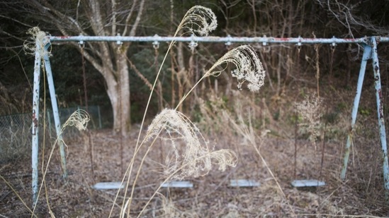 A set of swings looks over a weed-covered playground of an elementary school that was used until children evacuated due to a nuclear scare following a 2011 earthquake in Futaba town, Fukushima prefecture, northeastern Japan, on February 28, 2021. The school is in the area that used to be designated as the nuclear disaster exclusion zone, but the part of the zone has been lifted since March 2020.(Hiro Komae / AP)