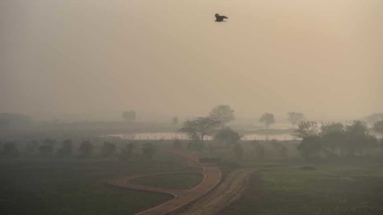 The level of PM 10 and PM 2.5 in the Rourkela atmosphere on March 8 was 5 times more than the desired levels. Representative Photo (Amal KS/HT photo) The level of PM 10 and PM 2.5 in the Rourkela atmosphere on March 8 was 5 times more than the desired levels. Representative Photo (Amal KS/HT photo)