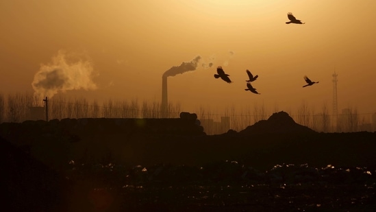 Birds fly over a closed steel factory where chimneys of another working factory are seen in background, in Tangshan, Hebei province, China,(Reuters/ File photo)