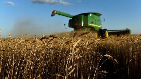 On Tuesday, the US Agriculture Department (USDA) raised its forecast for exports of US white wheat to 245 million bushels, the most since 1994, due to strong demand from China and South Korea. (Reuters) On Tuesday, the US Agriculture Department (USDA) raised its forecast for exports of US white wheat to 245 million bushels, the most since 1994, due to strong demand from China and South Korea. (Reuters)