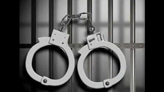On February 3, 2020, the police arrested two wardens and a home guard jawan deployed at the prison in connection with the February 1 jailbreak. Punjab chief minister Captain Amarinder Singh had ordered a magisterial inquiry into the case. (Representative image) On February 3, 2020, the police arrested two wardens and a home guard jawan deployed at the prison in connection with the February 1 jailbreak. Punjab chief minister Captain Amarinder Singh had ordered a magisterial inquiry into the case. (Representative image)