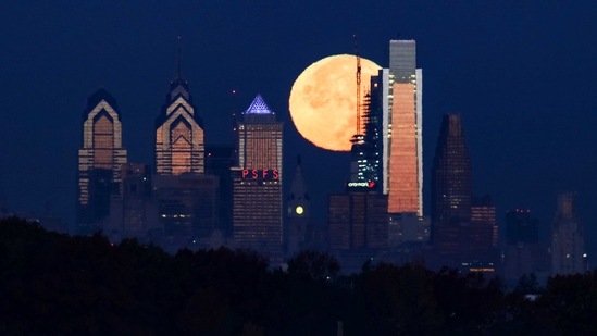 Bird Safe Philly announced that Philadelphia is joining the national Lights Out initiative. (AP) Bird Safe Philly announced that Philadelphia is joining the national Lights Out initiative. (AP)