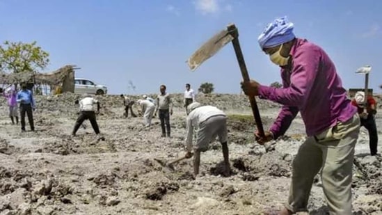 It further stated that West Bengal holds the second rank with 105%, Assam and Bihar jointly hold the third rank with the achievement of 104-104% of the given target and Odisha holds the fourth rank with 103% completion. (Representative Image)(PTI File) It further stated that West Bengal holds the second rank with 105%, Assam and Bihar jointly hold the third rank with the achievement of 104-104% of the given target and Odisha holds the fourth rank with 103% completion. (Representative Image)(PTI File)