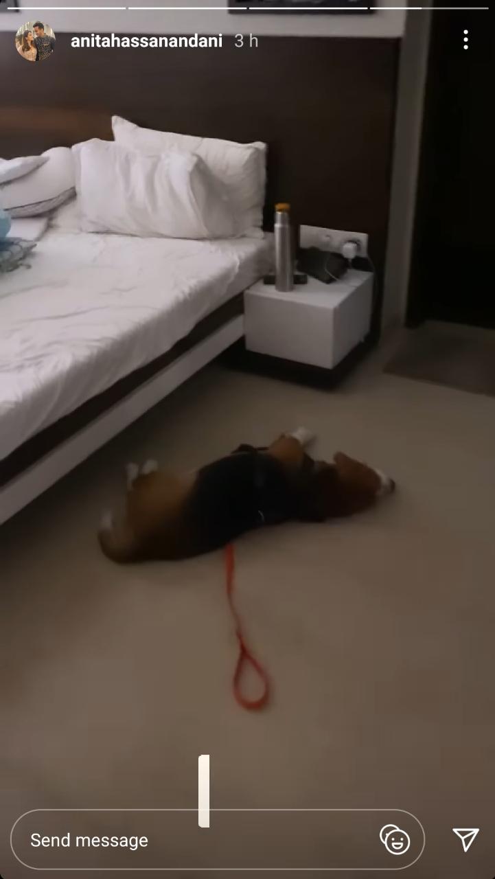 Anita Hassanandani's dog napping with her son Aaravv. Anita Hassanandani's dog napping with her son Aaravv.