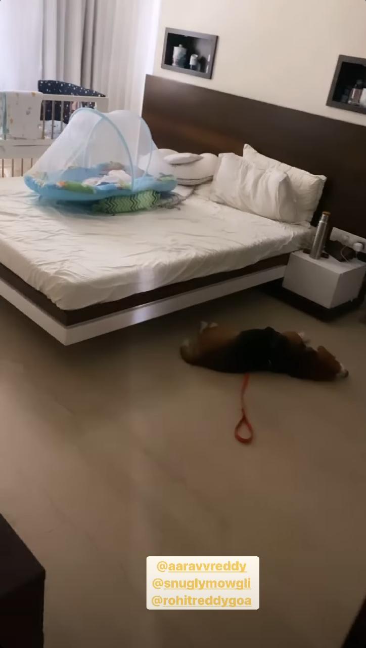 Anita Hassanandani shared a video of her son Aaravv and dog Mowgli sleeping together. Anita Hassanandani shared a video of her son Aaravv and dog Mowgli sleeping together.