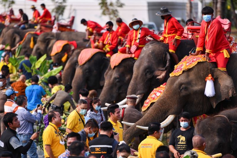 People attend the celebration of Thailand's National Elephant Day in the ancient city of Ayutthaya, Thailand. (REUTERS)