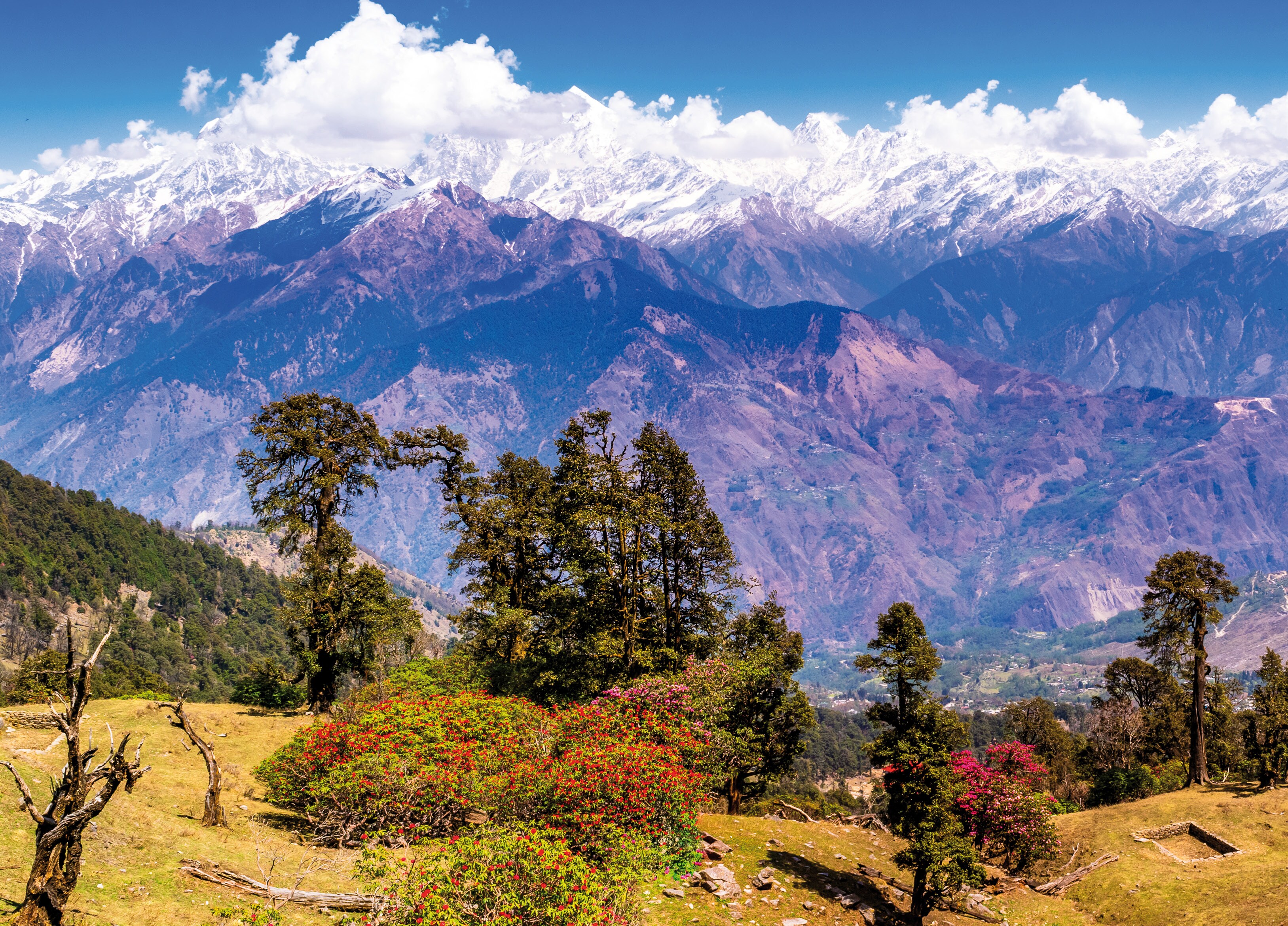 A view of Panchchuli peak