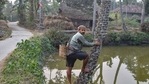 Nandigram in coastal Purba Medinipur district is a one-crop place owing to the high salinity in its water. (PTI Photo/Swapan Mahapatra)(PTI01_20_2021_000137B)(PTI) Nandigram in coastal Purba Medinipur district is a one-crop place owing to the high salinity in its water. (PTI Photo/Swapan Mahapatra)(PTI01_20_2021_000137B)(PTI)