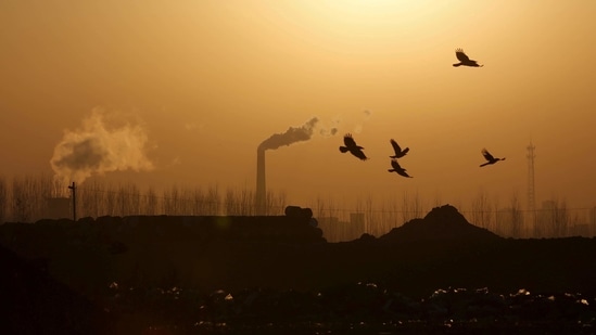 Birds fly over a closed steel factory where chimneys of another working factory are seen in background, in Tangshan, Hebei province, China, (Reuters/ File photo)