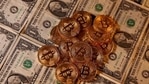 The fortunes of a range of companies are increasingly tied to the cryptocurrency, from listed Bitcoin miners and brokers to firms that have invested in the token.(REUTERS) The fortunes of a range of companies are increasingly tied to the cryptocurrency, from listed Bitcoin miners and brokers to firms that have invested in the token.(REUTERS)