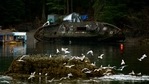 The findings demonstrates that under realistic environmental conditions, oil drifting in the ocean after the DWH oil spill photo-oxidised into persistent compounds within hours to days, instead over long periods of time as was thought during the 2010 Deepwater Horizon oil spill.(Unsplash)