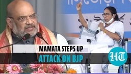 Mamata Banerjee’s chants 'Durga path'; says Amit Shah interfering in EC work