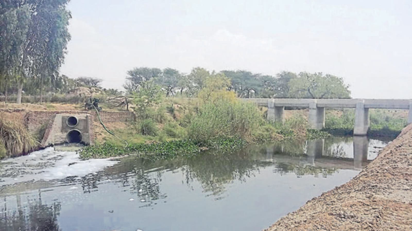 Fazilka drain block causing severe pollution, talk to Pak NGT to