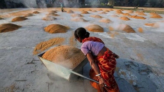 A worker carries boiled rice in a wheelbarrow to spread it for drying at a rice mill on the outskirts of Kolkata. (REUTERS) A worker carries boiled rice in a wheelbarrow to spread it for drying at a rice mill on the outskirts of Kolkata. (REUTERS)