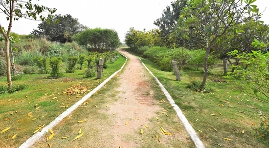 A view of the Asita West project site on the Yamuna riverfront, part of DDA's Flood Plain Rejuvenation projects in New Delhi. ( Raj K Raj/ Hindustan Times)