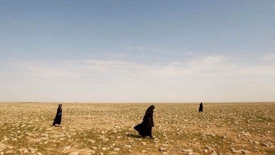 Women search for truffles in the desert in Samawa, on February 23. "Rain came, and then thunder, bringing truffles up to the surface," Zahra Buheir told Reuters.(Alaa Al-Marjani / REUTERS)