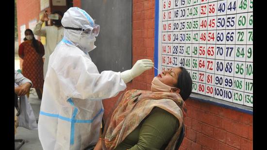 A health worker collecting sample from a staff member at Government Middle School, Sector 26, in Chandigarh on Wednesday. (Keshav Singh/HT) A health worker collecting sample from a staff member at Government Middle School, Sector 26, in Chandigarh on Wednesday. (Keshav Singh/HT)