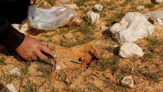 Remnants from the Gulf war in 1991, unexploded devices beneath the earth could be mistaken for truffles by the inexperienced eye.(Alaa Al-Marjani / REUTERS)