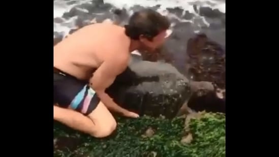 The image shows a man rescuing a turtle. (Screengrab) The image shows a man rescuing a turtle. (Screengrab)