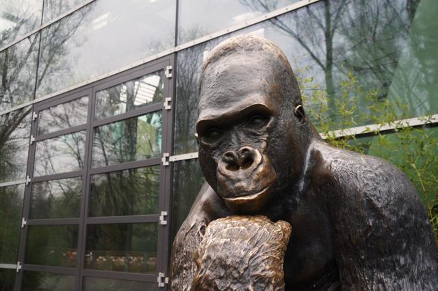 “The gorilla dismounted from his plinth and came towards me with his slow knuckle-walk. I told him how happy I was to be home.” - Piranesi. (Shutterstock) “The gorilla dismounted from his plinth and came towards me with his slow knuckle-walk. I told him how happy I was to be home.” - Piranesi. (Shutterstock)