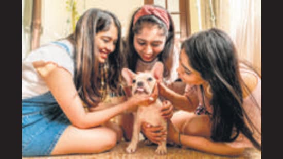 The concept of pet photography is in high demand in Pune (HT PHOTO) The concept of pet photography is in high demand in Pune (HT PHOTO)