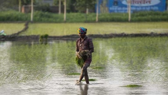 Inflation based on food index of CPI-AL and CPI-RL is at 1.55 per cent and 1.85 per cent respectively in February 2021, a labour ministry statement said.(File photo. Representative image) Inflation based on food index of CPI-AL and CPI-RL is at 1.55 per cent and 1.85 per cent respectively in February 2021, a labour ministry statement said.(File photo. Representative image)