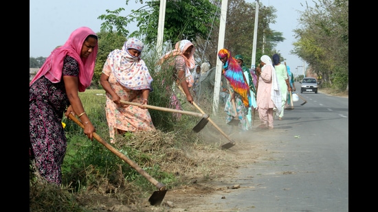 MGNREGA workers clearing weed on the roadside near fields before cotton sowing at Govindpura village in Bathinda district on Friday. (Sanjeev Kumar/HT) MGNREGA workers clearing weed on the roadside near fields before cotton sowing at Govindpura village in Bathinda district on Friday. (Sanjeev Kumar/HT)