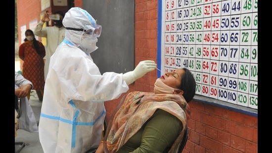 A health worker collects swab samples of a school staffer at Bapudham Government Middle School Sector 26 in Chandigarh . (HT Photo) A health worker collects swab samples of a school staffer at Bapudham Government Middle School Sector 26 in Chandigarh . (HT Photo)