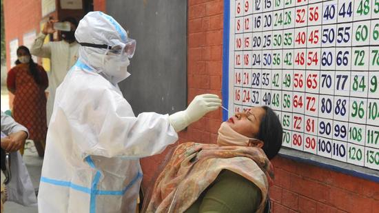 A health worker collects swab samples of staff at Government Middle School, Sector 26, Chandigarh. (Keshav Singh/HT) A health worker collects swab samples of staff at Government Middle School, Sector 26, Chandigarh. (Keshav Singh/HT)