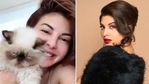 Jacqueline has two pet cats - Yoda and Miu Miu. Jacqueline has two pet cats - Yoda and Miu Miu.