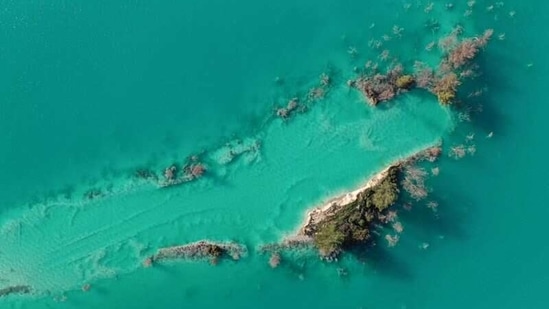 An aerial view shows rotten trees in a toxic lake near the southwestern town of Yatagan in Mugla province, Turkey, on February 24, 2021. According to environmental activist Deniz Gumusel, the toxic lake, known as an ash dam, is created by a mix of wastewater and polluted ash which are both produced at the nearby Yatagan power station, Reuters reported.(Umit Bektas / REUTERS)