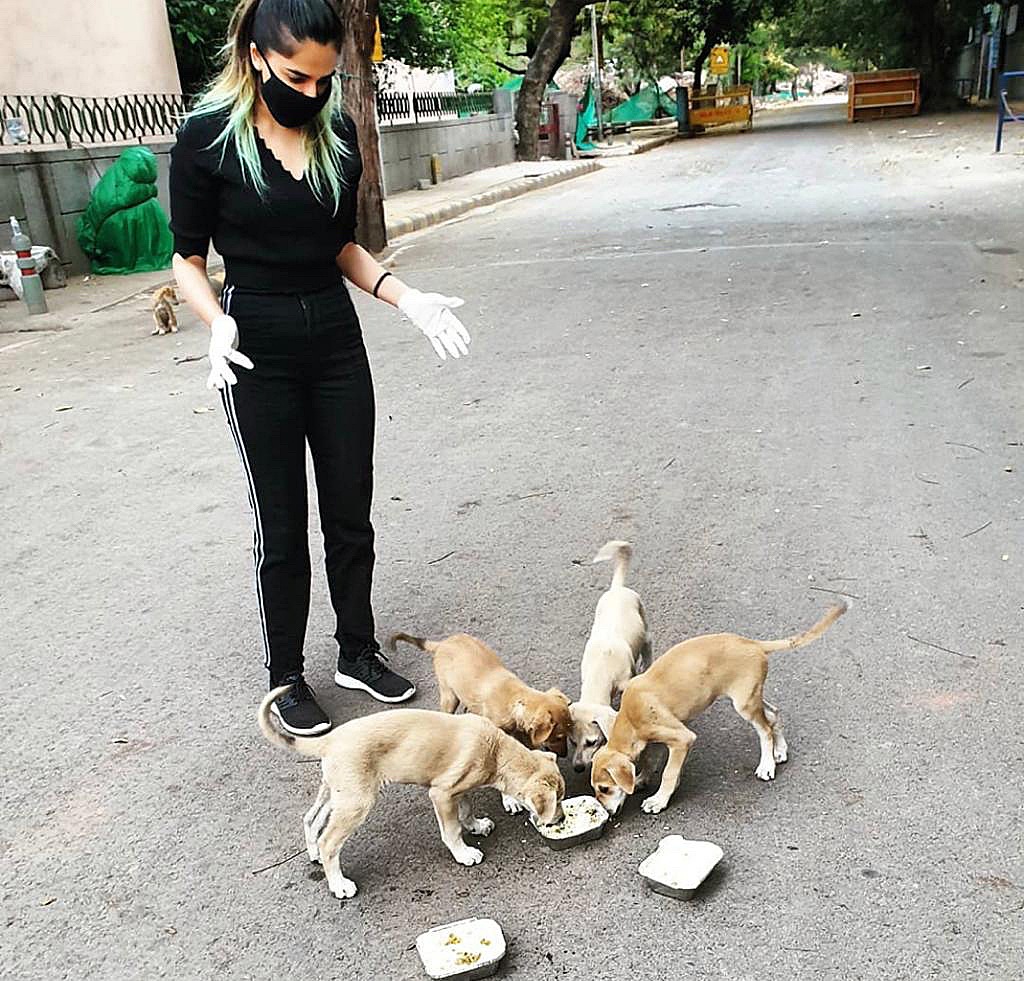 Vibha Tomar has been feeding 350+ dogs during the pandemic year. Vibha Tomar has been feeding 350+ dogs during the pandemic year.