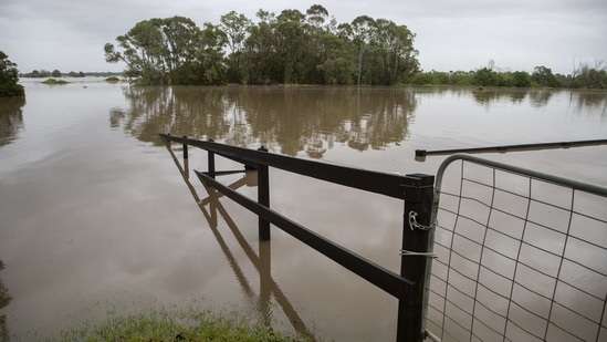 A view of a flooded field at Old Pitt Town, north-west of Sydney on March 21. The extreme weather has also affected Australia's Covid-19 vaccine delivery to across NSW, disrupting the country's plans to deliver the first doses to almost 6 million people over the next few weeks.(Mark Baker / AP)