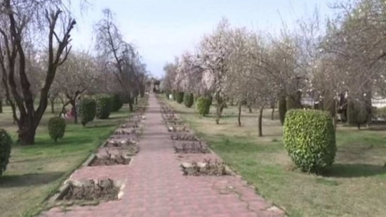 ?J-K's historic Badamwari garden open for visitors(ANI)