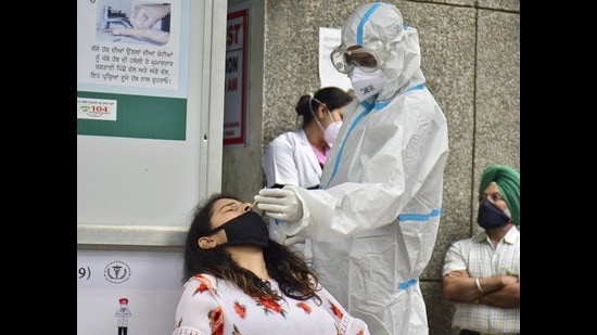 A health worker collects swab samples for Covid-19 testing in Amritsar on Monday. (Sameer Sehgal/HT)