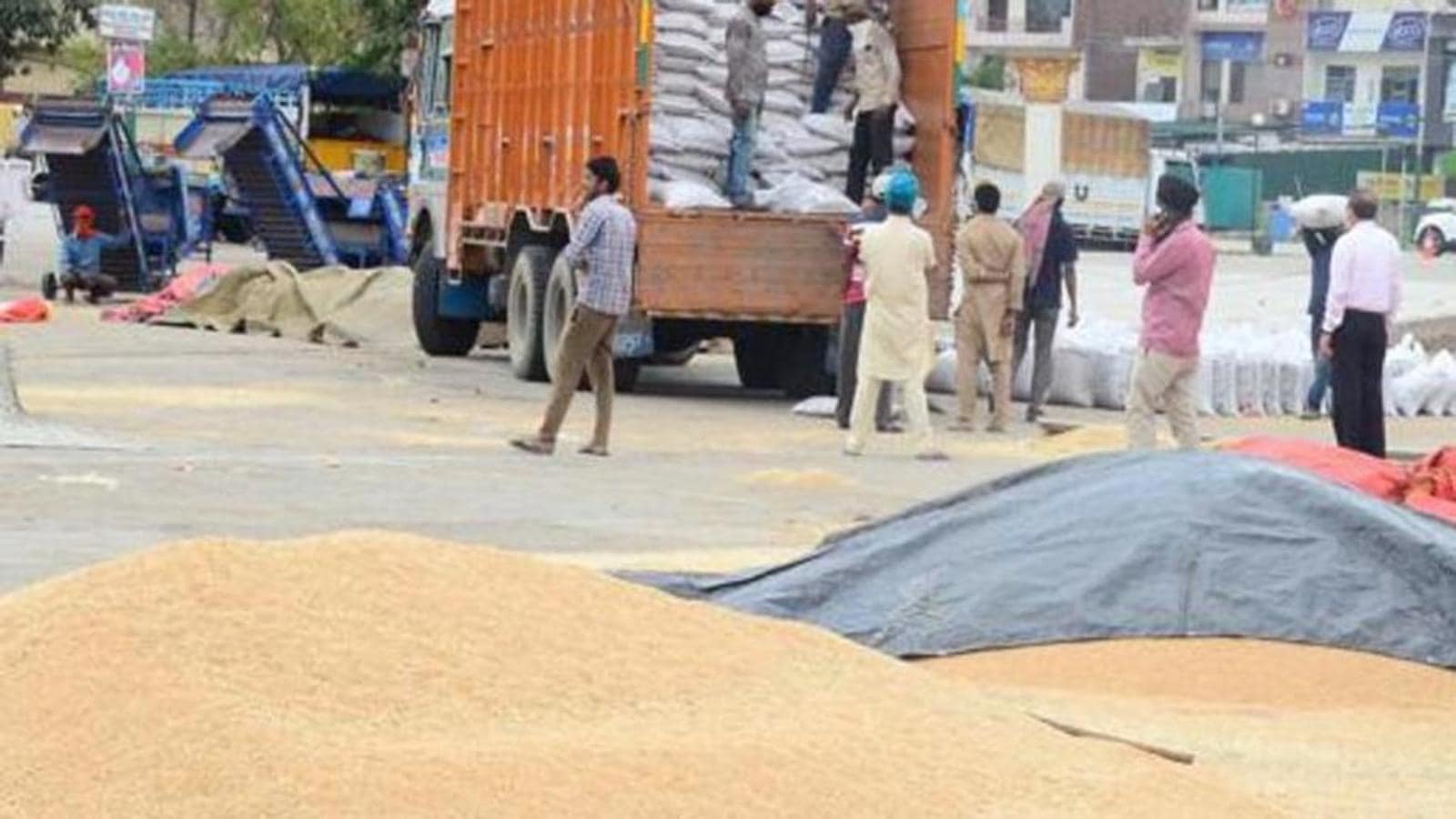 Wheat procurement next week; Punjab , Centre in deadlock over land record