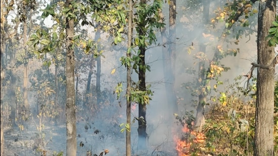 Most of the forest fires broke out in the Maoist-affected districts. (Alok Shuklal/HT PHOTO) Most of the forest fires broke out in the Maoist-affected districts. (Alok Shuklal/HT PHOTO)