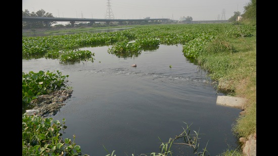 Only 285 of the 1,631 GPIs identified in the Yamuna river basin (in Haryana, Delhi, Uttar Pradesh and Uttarakhand) have installed OCEMS and provided its connectivity to the CPCB. (HT FILE) Only 285 of the 1,631 GPIs identified in the Yamuna river basin (in Haryana, Delhi, Uttar Pradesh and Uttarakhand) have installed OCEMS and provided its connectivity to the CPCB. (HT FILE)