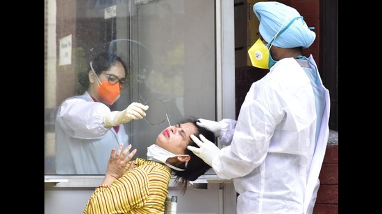 Alarm bells ring as 81% of samples Punjab sent to Pune lab for genome sequencing show UK virus strain Alarm bells ring as 81% of samples Punjab sent to Pune lab for genome sequencing show UK virus strain