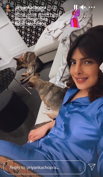 Priyanka Chopra reveals Nick Jonas is working on 'new tunes.'