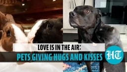 It’s all about love